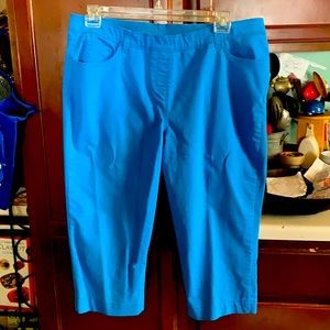 Allison Daley blue slip on capris!